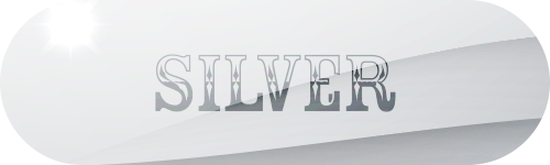 Silver Flooring Package